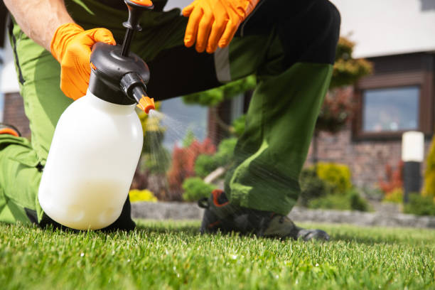 Best Affordable Pest Control Services  in Seco Mines, TX