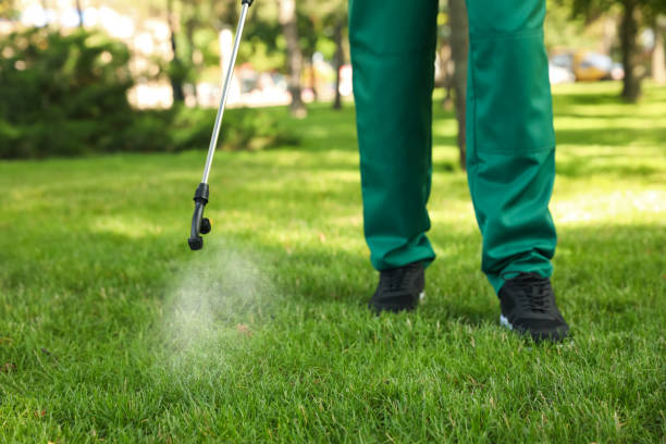 Best Pest Control Cost  in Seco Mines, TX