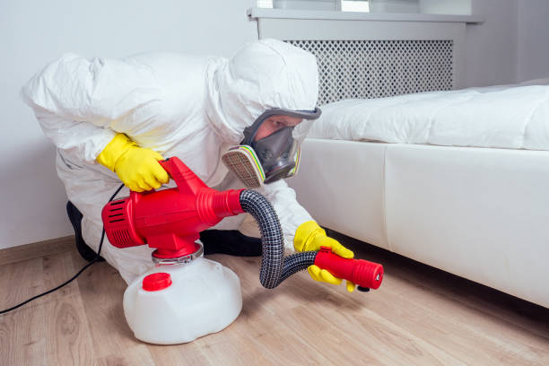 Best Commercial Pest Control Services  in Seco Mines, TX