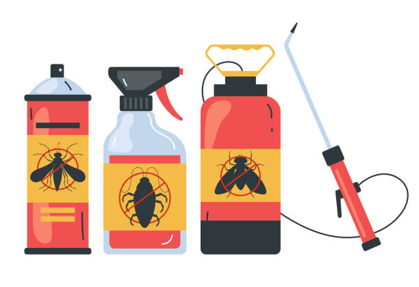 Best Pest Removal Services  in Seco Mines, TX