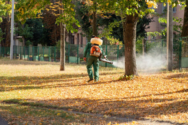 Best Best Pest Control Companies  in Seco Mines, TX