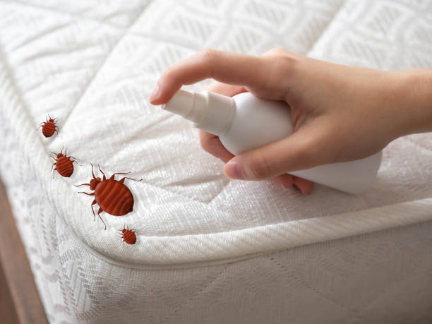 Pest Control Cost in Seco Mines, TX